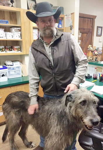 Pallone Veterinary Hospital image