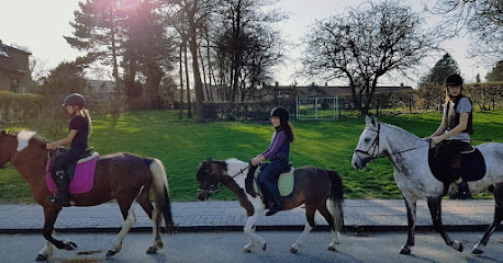 Tattersall Pony Rideklub