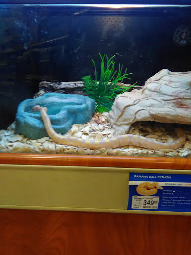 Aquarium Killeen