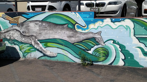 Clothing Store «Patagonia Cardiff-by-The-Sea», reviews and photos, 2185 San Elijo Ave, Cardiff, CA 92007, USA