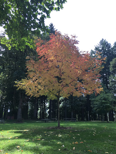 Park «Sellwood Park», reviews and photos, SE Miller St & SE 7th Ave, Portland, OR 97202, USA