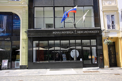 Nova univerza, Fakulteta za slovenske in mednarodne študije