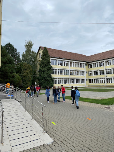 Colegiul Național „Lucian Blaga”