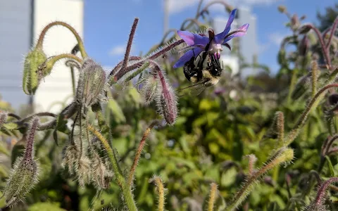 Hope Blooms Garden & Greenhouse image