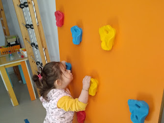 Erva Eğitim Kurumları