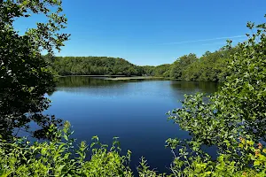 Simmons Mill Management Area image