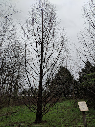 Amusement Center «Dinosaur World», reviews and photos, 711 Mammoth Cave Rd, Cave City, KY 42127, USA