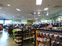 Gator Harley-Davidson - Photo 4 - Car repair in Leesburg, FL, Leesburg