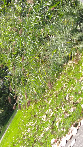 Golf Course «RiverWinds Golf & Tennis Club», reviews and photos, 270 Eagle Point Rd, West Deptford, NJ 08086, USA