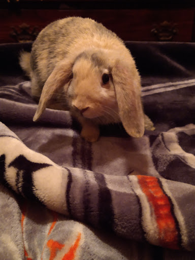 Pet Store «Southside Aquatics», reviews and photos, 2039 Pleasanton Rd, San Antonio, TX 78221, USA