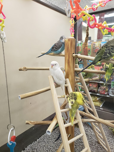 Pet Supply Store «Petco Animal Supplies», reviews and photos, 2807 Wilma Rudolph Blvd, Clarksville, TN 37040, USA