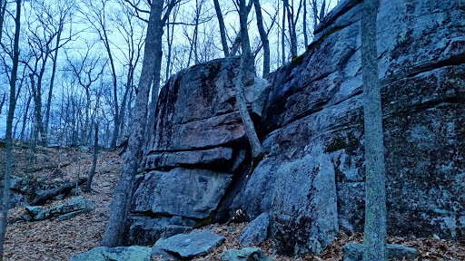 Nature Preserve «Wolf Rock Nature Preserve», reviews and photos, 251 Clover Mill Rd, Storrs, CT 06268, USA