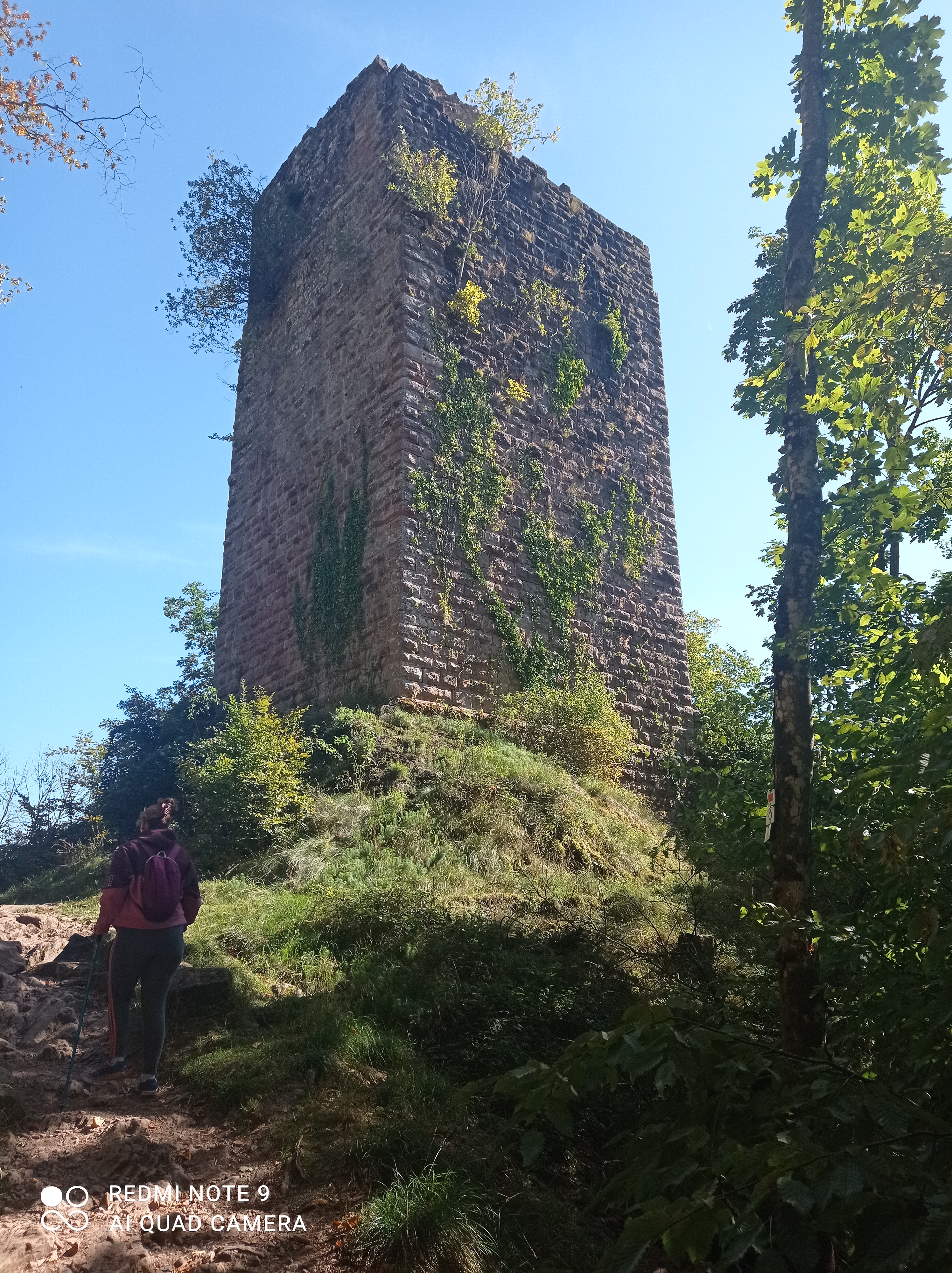 Photo n° 6 de l'avis de Florian.u fait le 25/09/2023 à 13:11