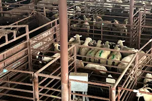 Escalon Livestock Market Inc image