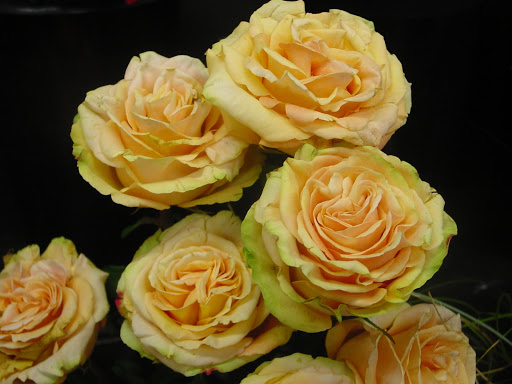 Florist «Hillside Florist (formerly Jennifer Flowers)», reviews and photos, 140 Hillside Avenue, New Hyde Park, NY 11040, USA