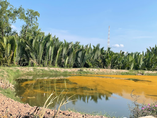 Top 20 cửa hàng tôn Huyện Châu Thành Trà Vinh 2022