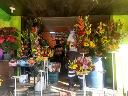 Florería jafer florería en  en la zona San Juan