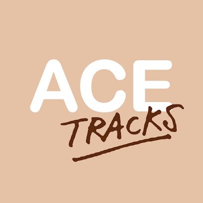 ACE TRACKS