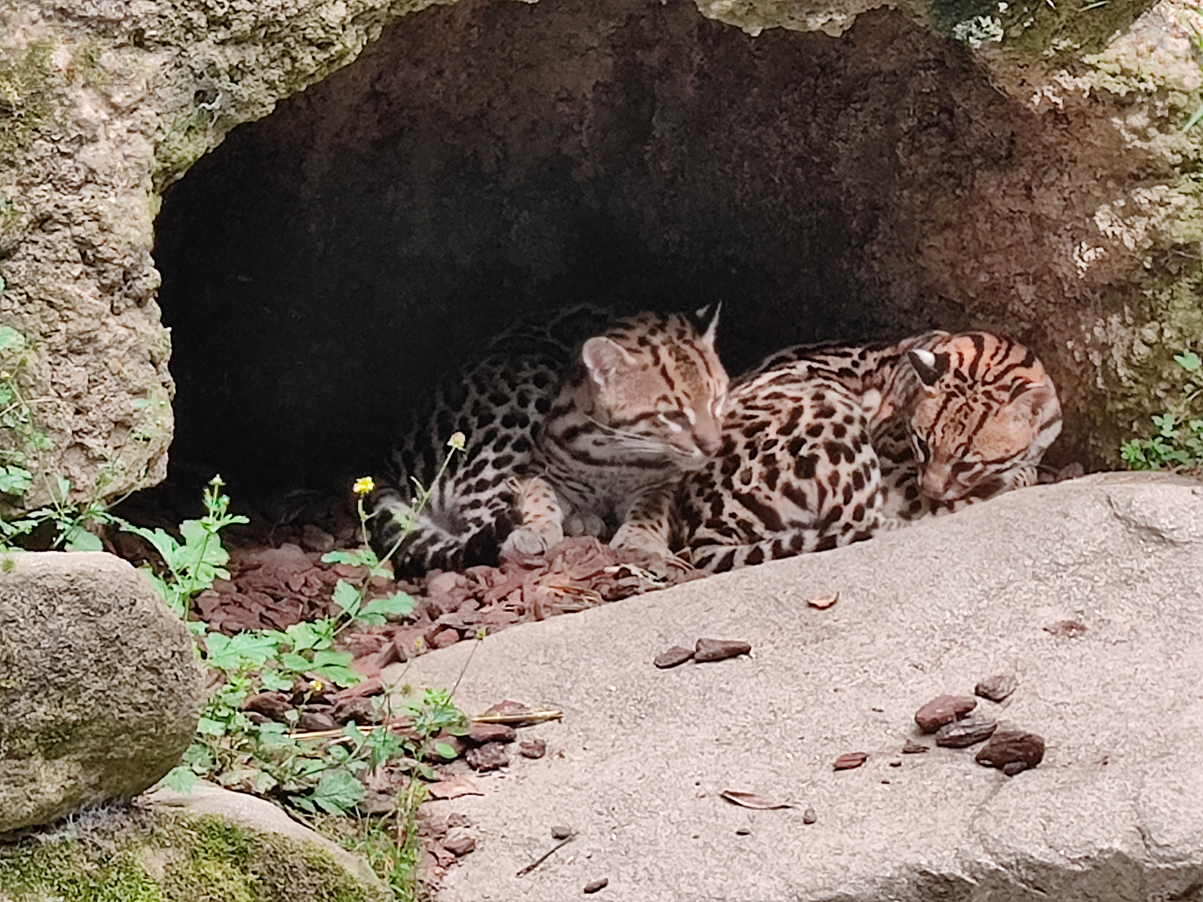 Photo n° 2 de l'avis de Frédéric.a fait le 15/08/2023 à 14:45