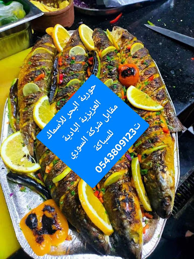 حورية البحر للأسماك 