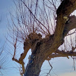 Photo n°4 de l'avis de Valerio.a fait le 21/03/2023 à 17:57 sur le  Ristorante Acquarella à Trevignano Romano