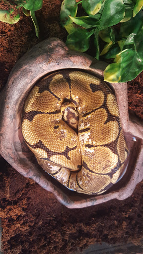 Pet Store «Critter Hut Aquarium & Pets», reviews and photos, 6637 Post Rd, North Kingstown, RI 02852, USA