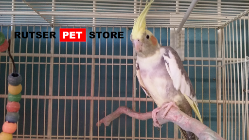 Pet Supply Store «Rutser Pet Store», reviews and photos, 5418 E Beverly Blvd, East Los Angeles, CA 90022, USA