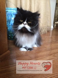 Happy Hearts Pet Care LLC - Photo 3 - Car repair in Ann Arbor, MI, Ann Arbor