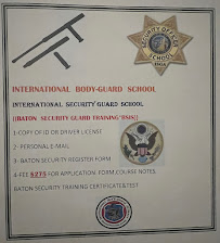 IBGA Bodyguard Alliance - Photo 1 - Car repair in Mission Viejo, CA, Mission Viejo