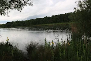 Bateswood Nature Reserve image