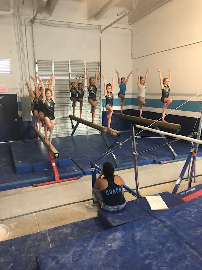 Leyva Gymnastics Academy - 14251 SW 120th St STE 104, Miami, FL 33186