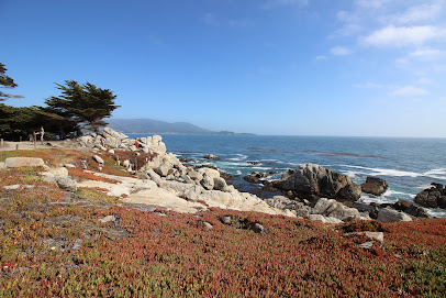 Images of Pebble Beach