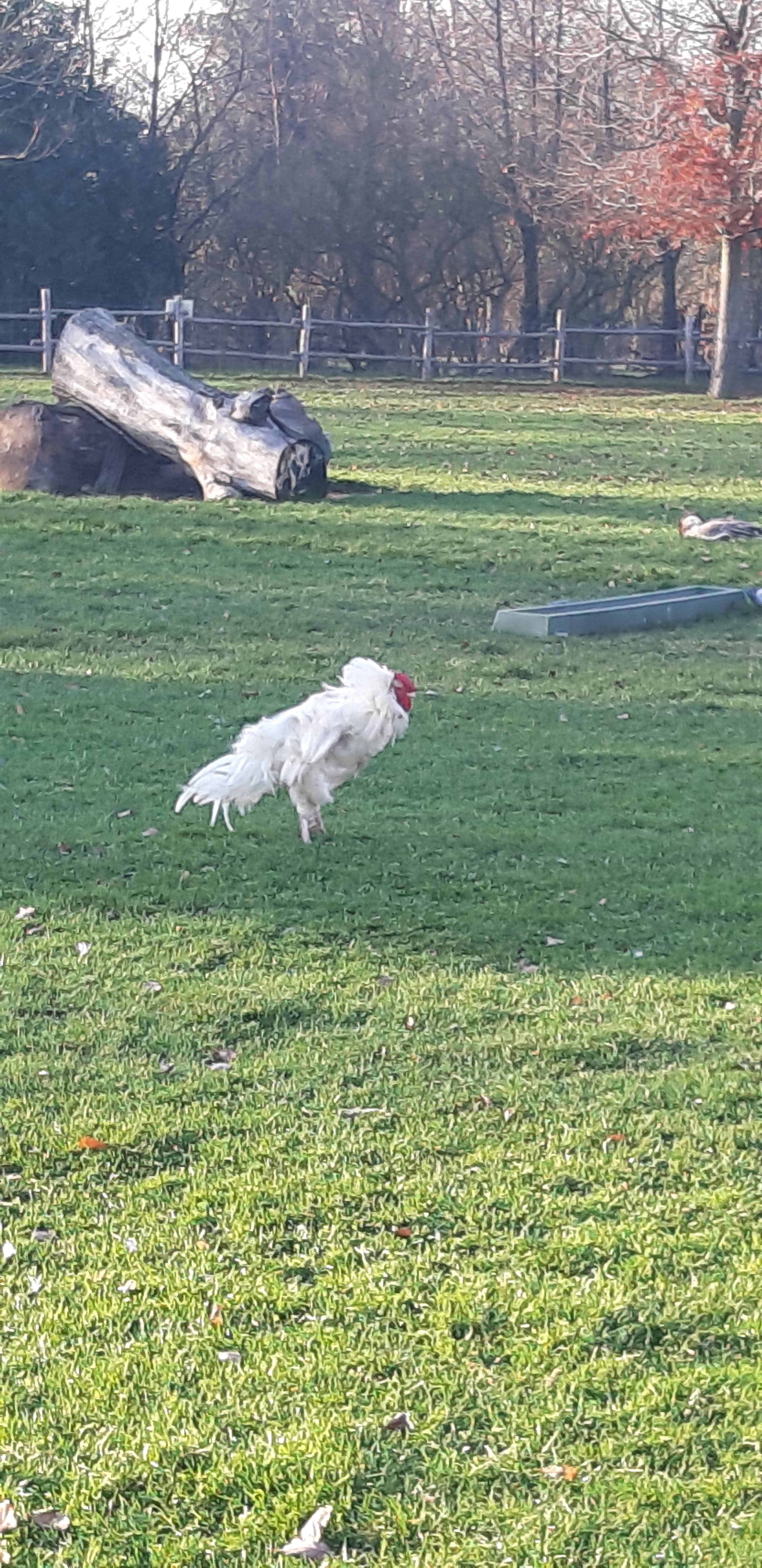 Photo n° 28 de l'avis de betty.o fait le 10/12/2019 à 11:19