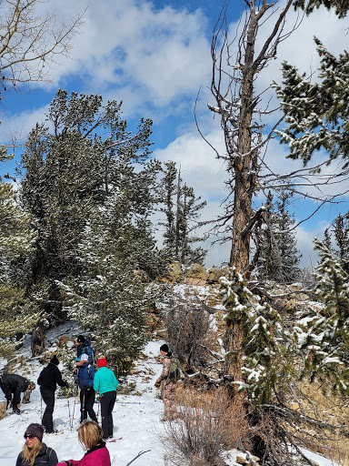 Winery «Aspen Peak Cellars», reviews and photos, 60750 US-285, Bailey, CO 80421, USA