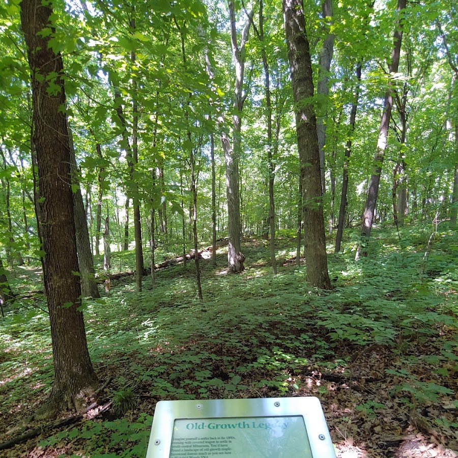 Wood-Rill Scientific and Natural Area (SNA)