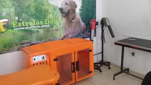Logo da empresa - Estrelas Dog