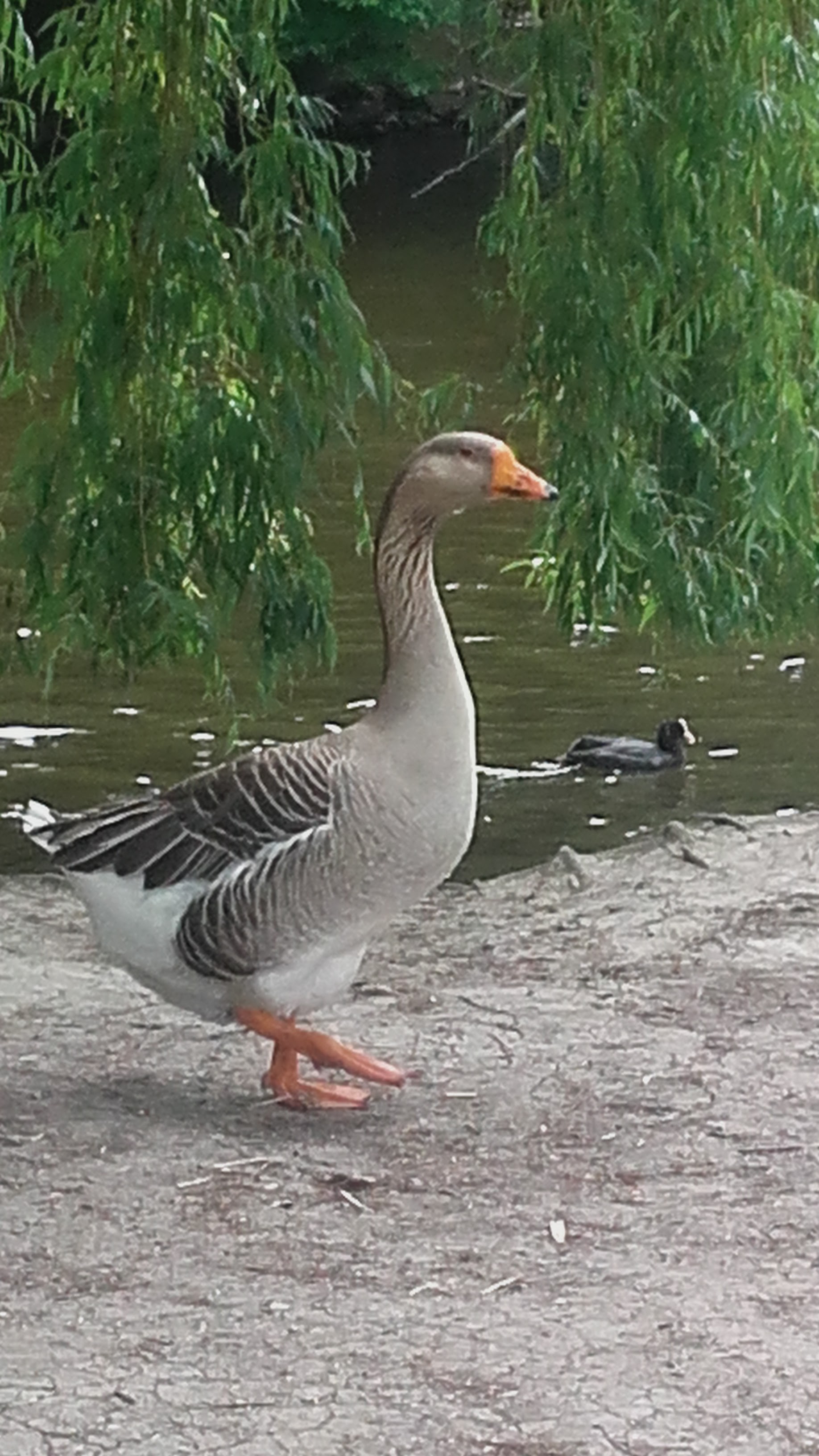 Photo n° 3 de l'avis de Nathalie.a fait le 30/05/2017 à 13:53