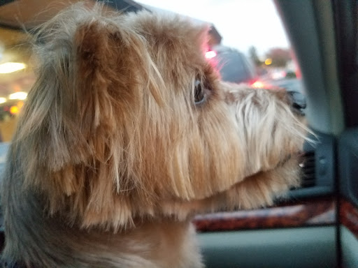 Pet Supply Store «Pet Supplies Plus», reviews and photos, 175 Memorial Ave, West Springfield, MA 01089, USA