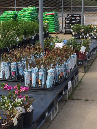 Discount Store «Kmart», reviews and photos, 1 K-Mart Plaza, Greenville, SC 29605, USA