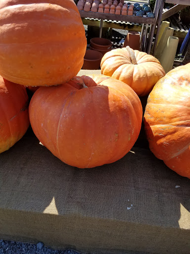 Garden Center «Nalls Produce», reviews and photos, 7310 Beulah St, Alexandria, VA 22315, USA