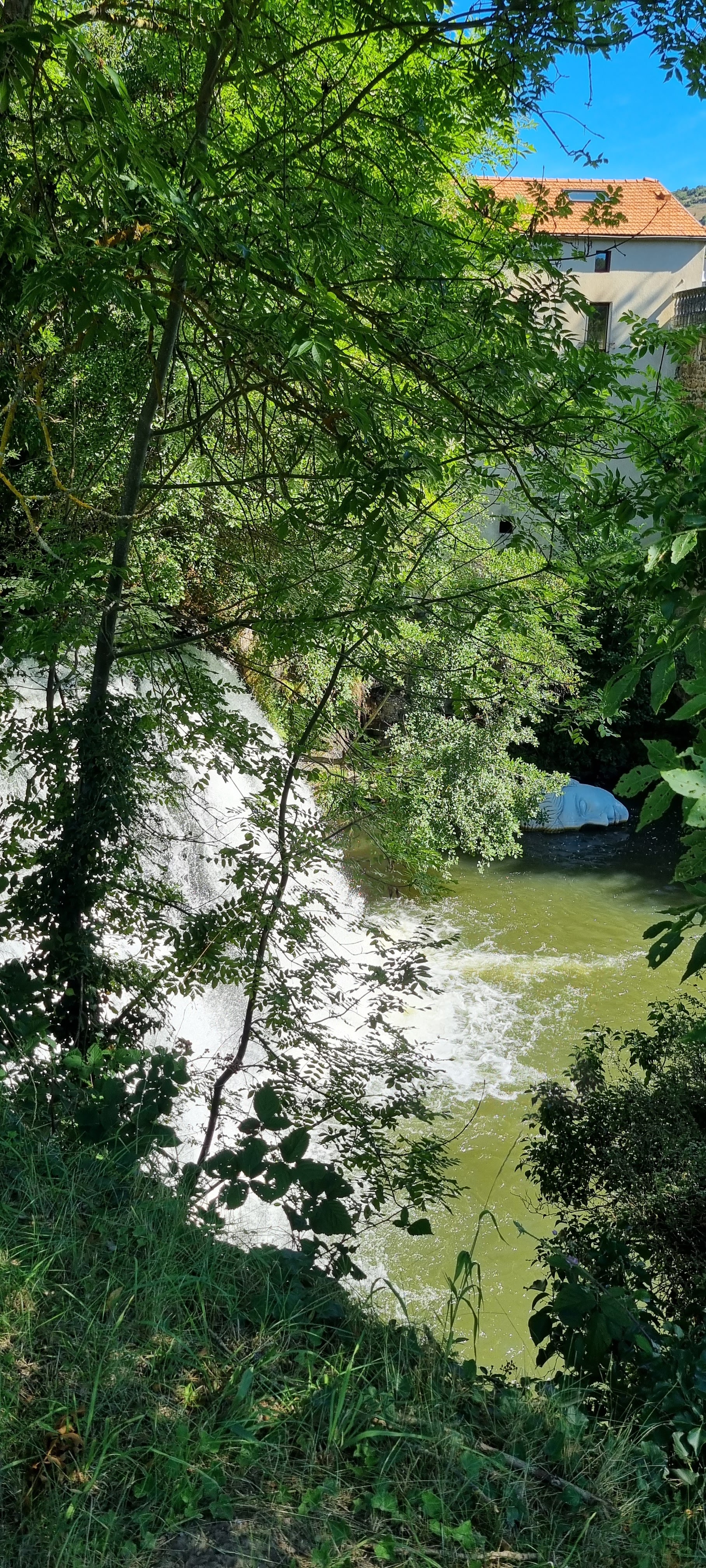 Photo n° 1 de l'avis de Mister.o fait le 31/08/2023 à 12:32