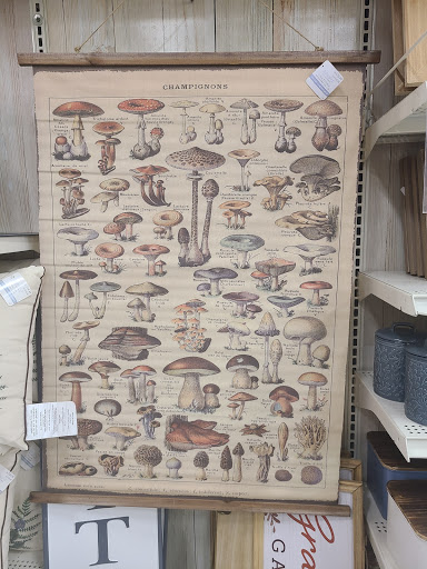 Craft Store «Michaels», reviews and photos, 3469 Grand Oaks, Corona, CA 92881, USA