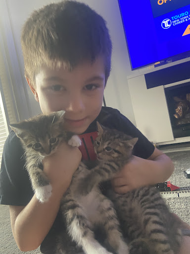 Pet Supply Store «E & N Pet Paradise Shop», reviews and photos, 289 E Gun Hill Rd, Bronx, NY 10467, USA