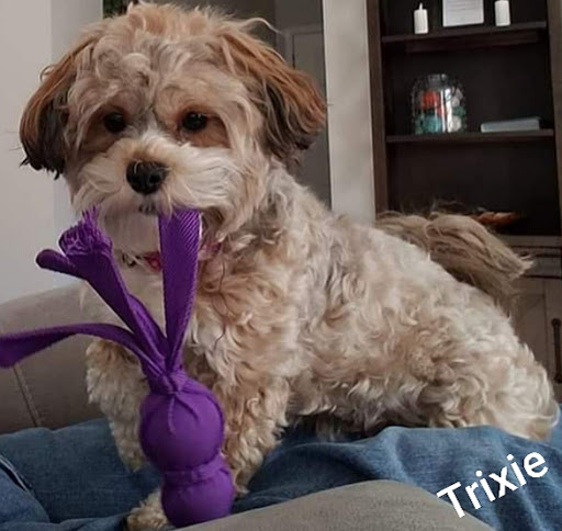 Pet Store «Animal House», reviews and photos, 7869 Hamilton Ave, Cincinnati, OH 45231, USA