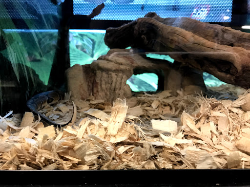 Pet Supply Store «PetSmart», reviews and photos, 17651 Colima Rd, City of Industry, CA 91748, USA