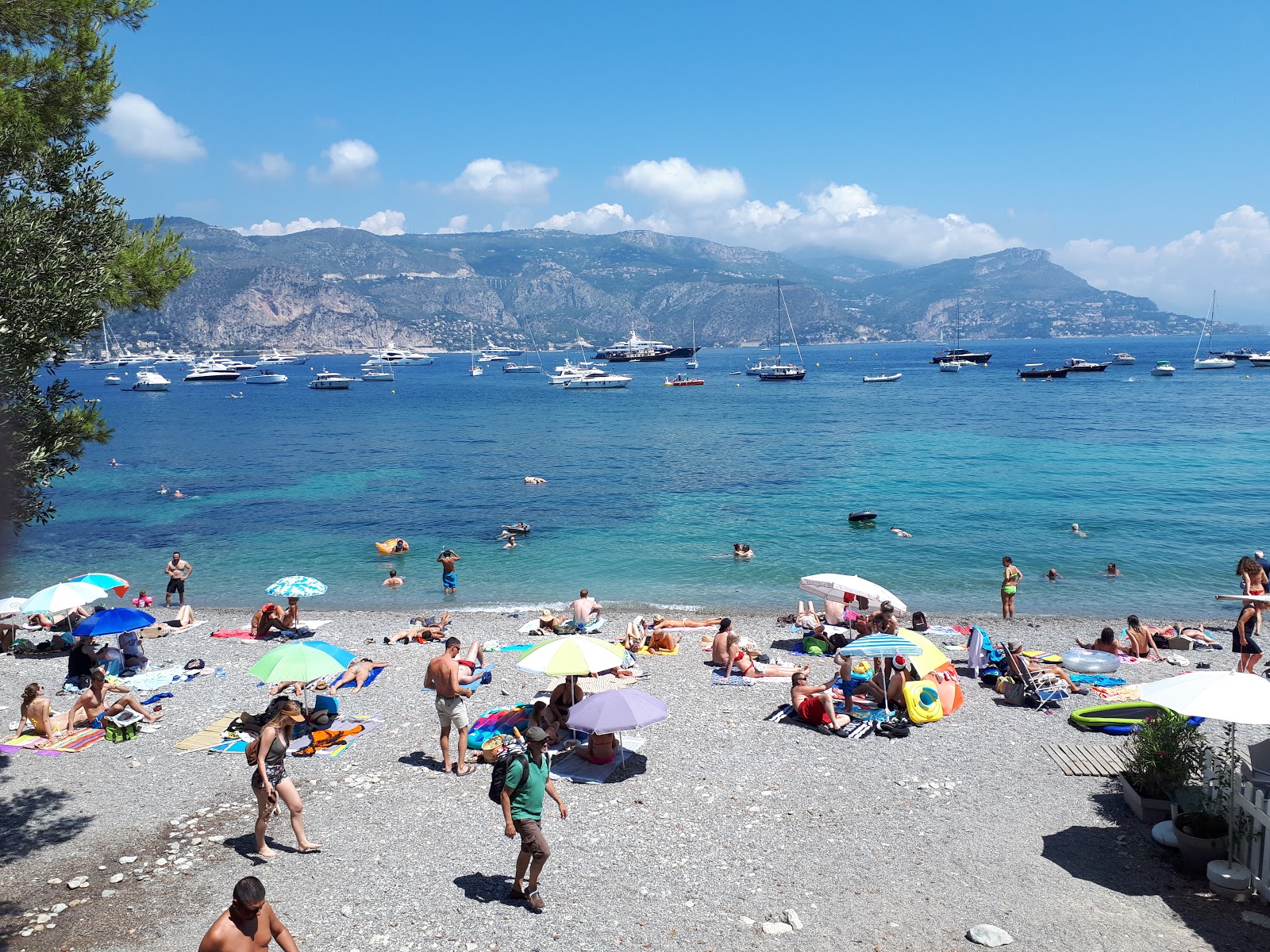 Photo de Plage de la Scaletta avec #42