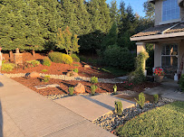 CuttingEdge Landscape & Tree Inc.