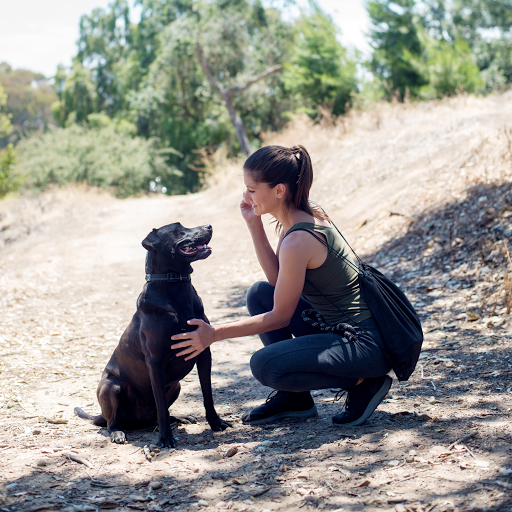 Sniff | San Diego - Dog Walkers & Pet Sitters