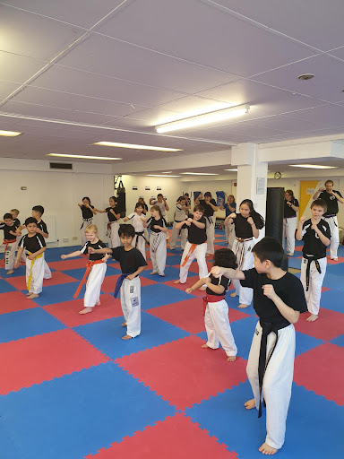 The Leadership & Martial Arts Academy Greengates