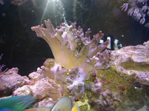 Pet Store «All Pets Club», reviews and photos, 1167 N Colony Rd, Wallingford, CT 06492, USA